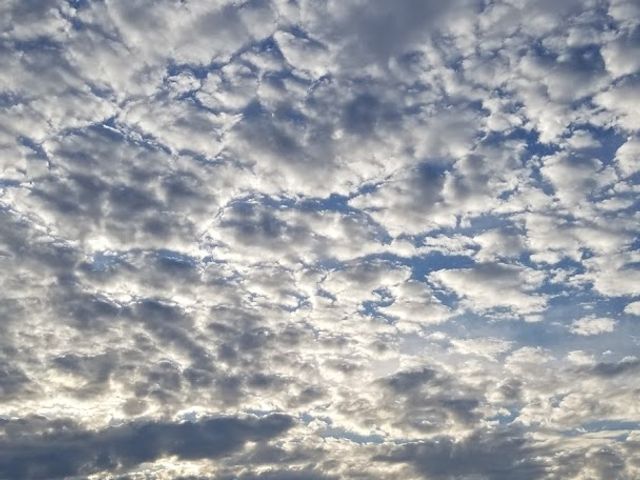 Photo of Great Lakes Truck Driving School