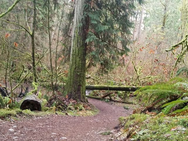 Photo of Green River College