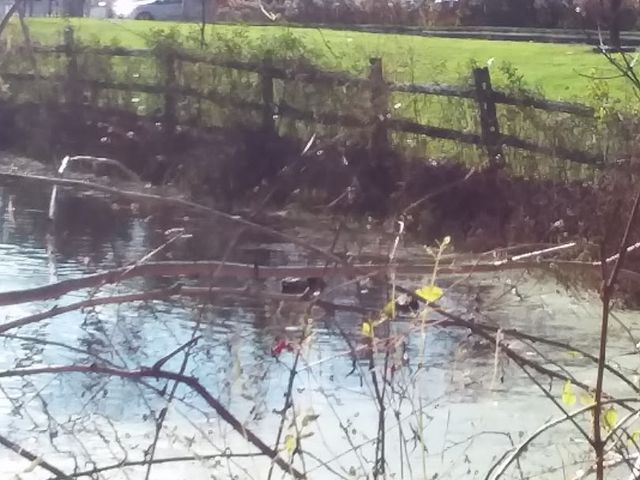 Photo of Greenfield Community College