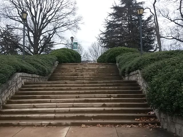 Photo of Greensboro College