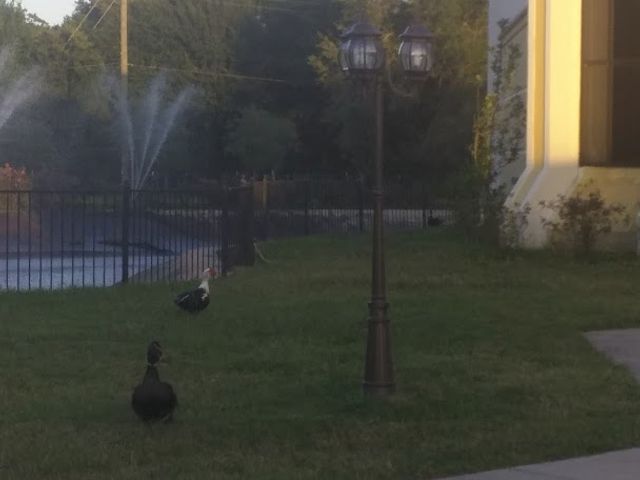 Photo of Guidance College