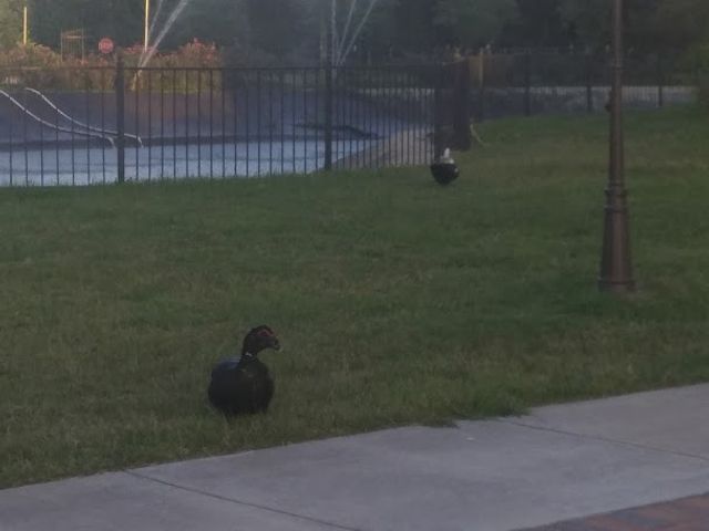 Photo of Guidance College