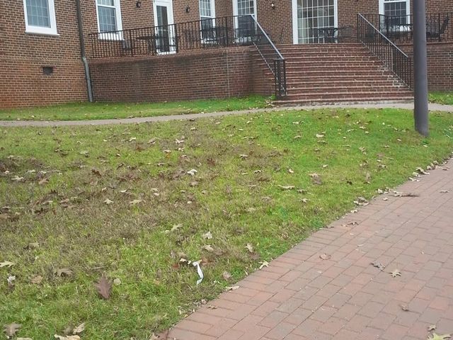 Photo of Guilford College