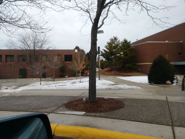 Photo of Gustavus Adolphus College