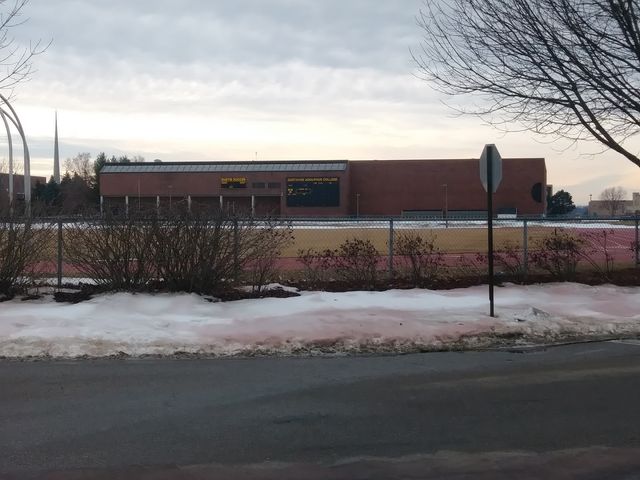 Photo of Gustavus Adolphus College