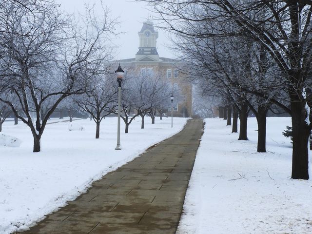 Photo of Gustavus Adolphus College