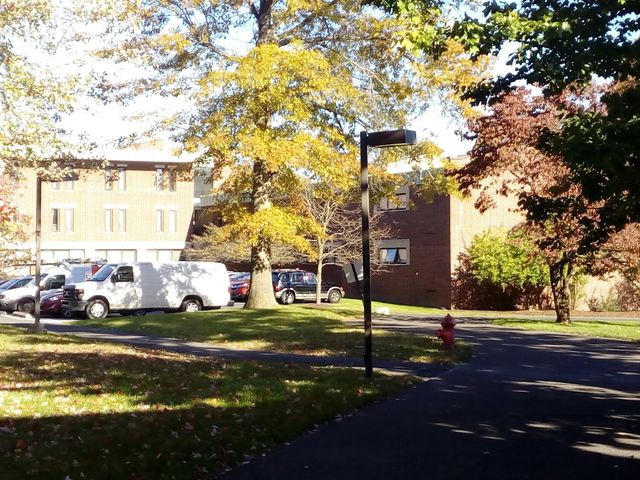 Photo of Gwynedd Mercy University