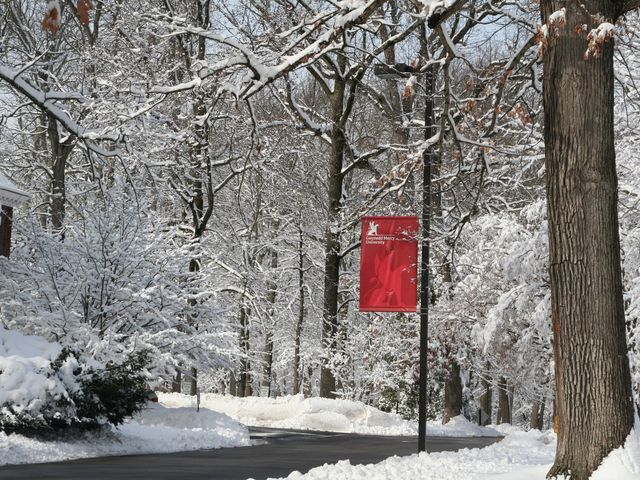 Photo of Gwynedd Mercy University