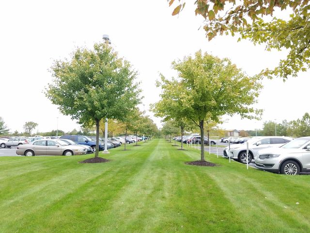 Photo of Davenport University - Schoolcraft College