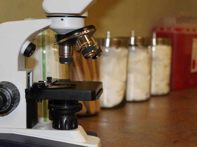 Photo of Daytona College