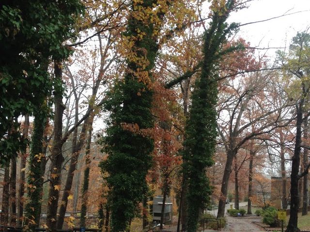 Photo of Danville Community College