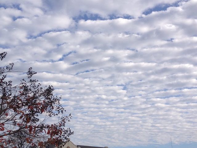 Photo of Danville Community College