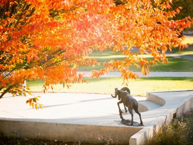 Photo of Delaware Valley University