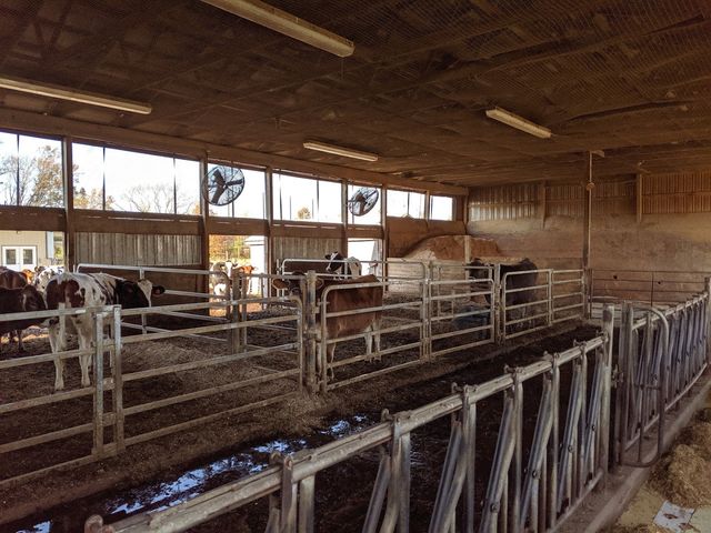 Photo of Delaware Valley University