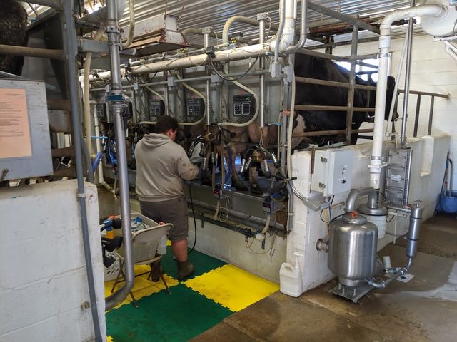 Photo of Delaware Valley University