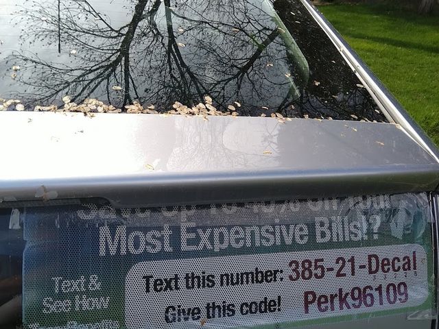 Photo of Delaware Valley University