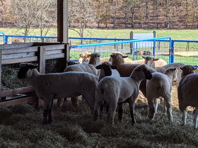 Photo of Delaware Valley University