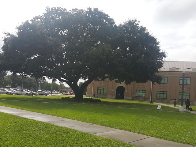 Photo of Delgado Community College