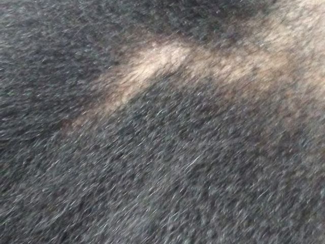 Photo of Delmarva Beauty Academy