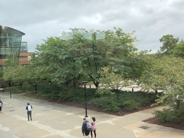 Photo of Delta College