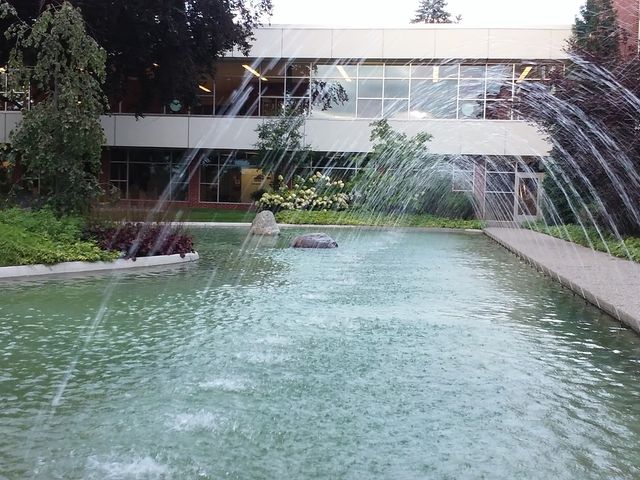 Photo of Delta College