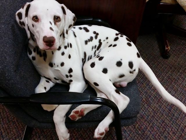 Photo of Denmark College