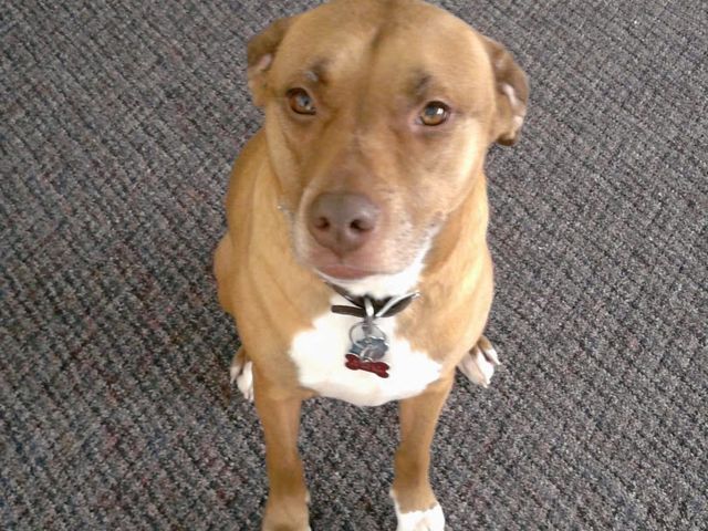 Photo of Denmark College