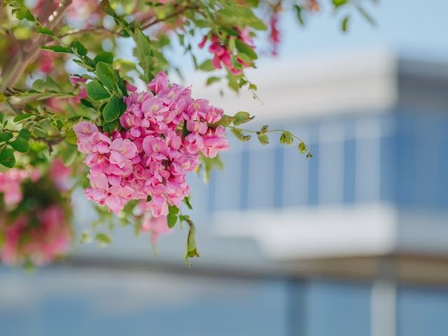 Photo of Dixie Technical College