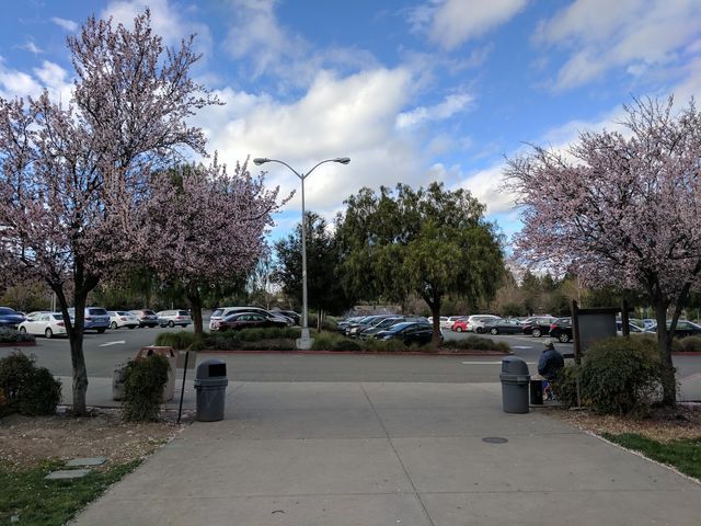 Photo of Diablo Valley College