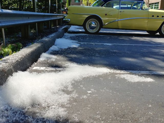 Photo of DigiPen Institute of Technology