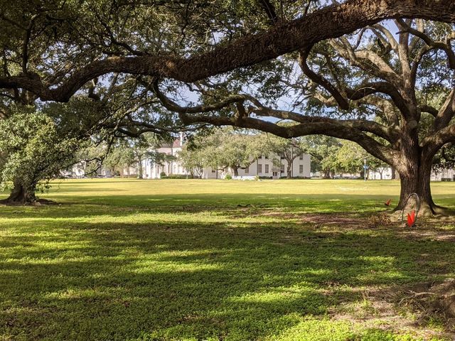 Photo of Dillard University