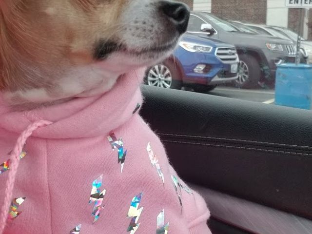 Photo of Diman Regional Technical Institute