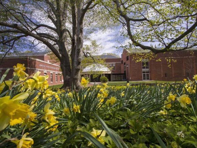 Photo of Drew University