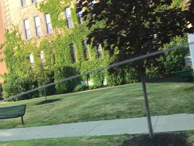 Photo of D'Youville College