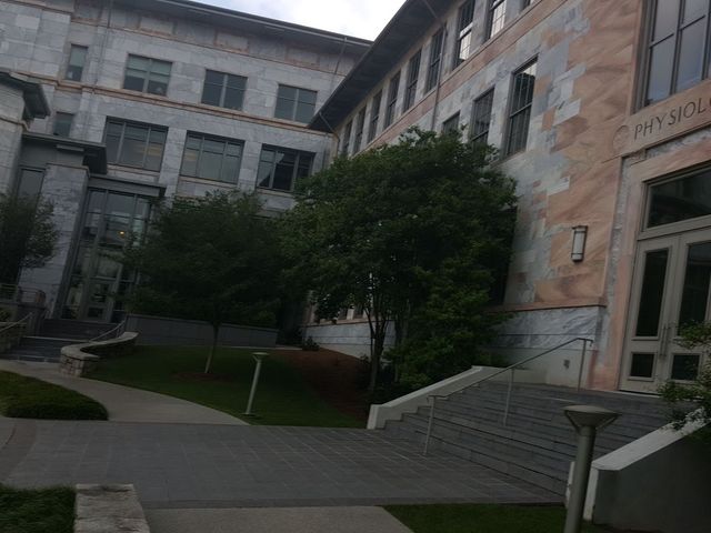 Photo of Emory University