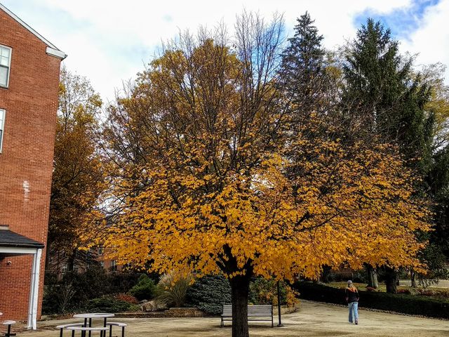Photo of Earlham College