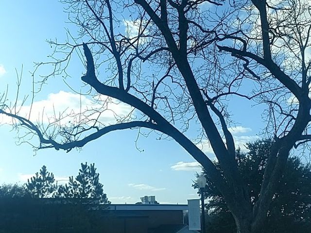 Photo of East Texas Baptist University