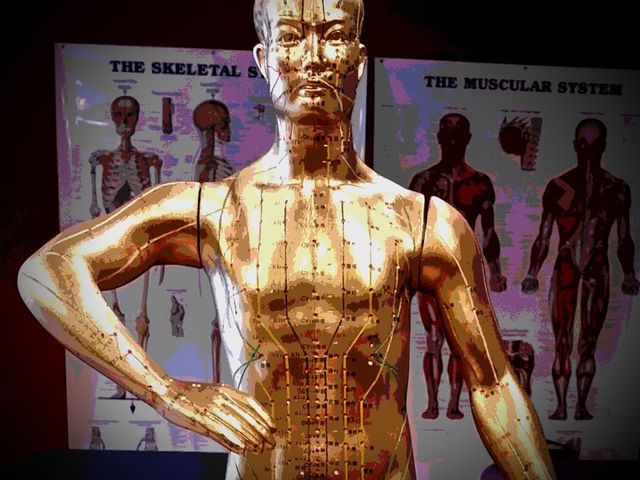 Photo of East-West Healing Arts Institute - Milwaukee