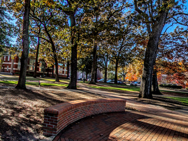 Photo of East Carolina University