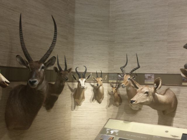 Photo of East Stroudsburg University of Pennsylvania