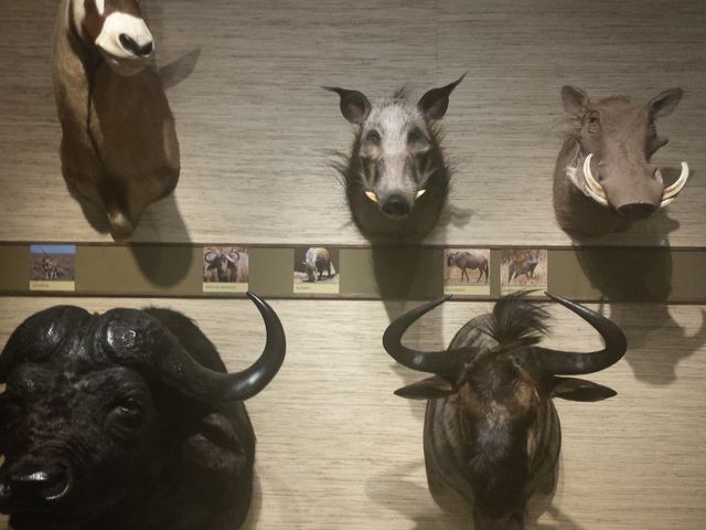 Photo of East Stroudsburg University of Pennsylvania