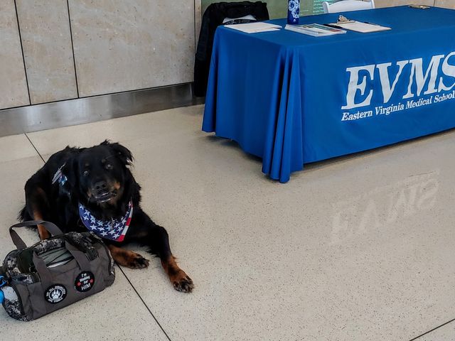 Photo of Eastern Virginia Medical School
