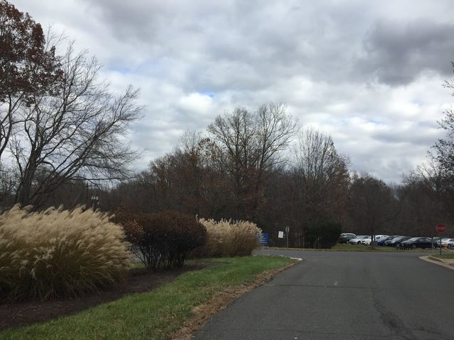 Photo of ECPI University-Manassas