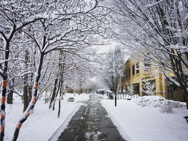 Photo of Edgewood College