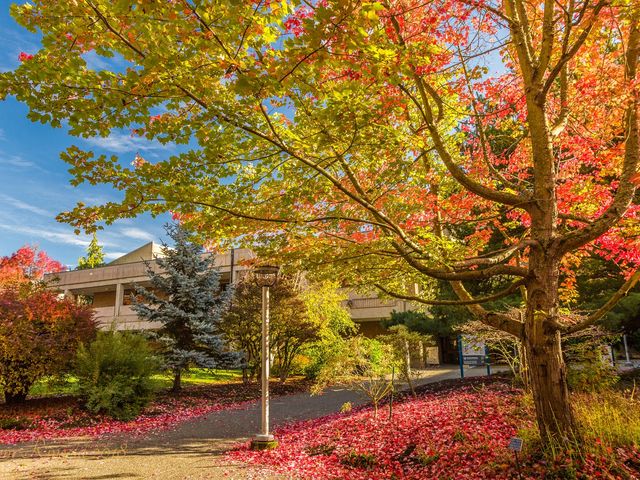 Photo of Edmonds Community College