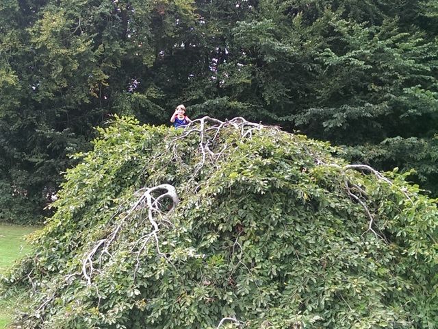 Photo of Eghjorten naturlegeplads