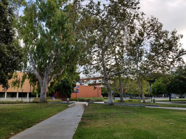 Photo of El Camino Community College District