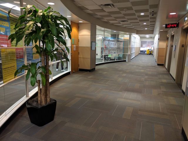 Photo of El Centro College