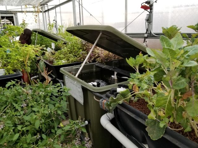 Photo of El Paso Community College