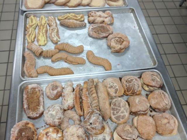 Photo of El Paso Community College